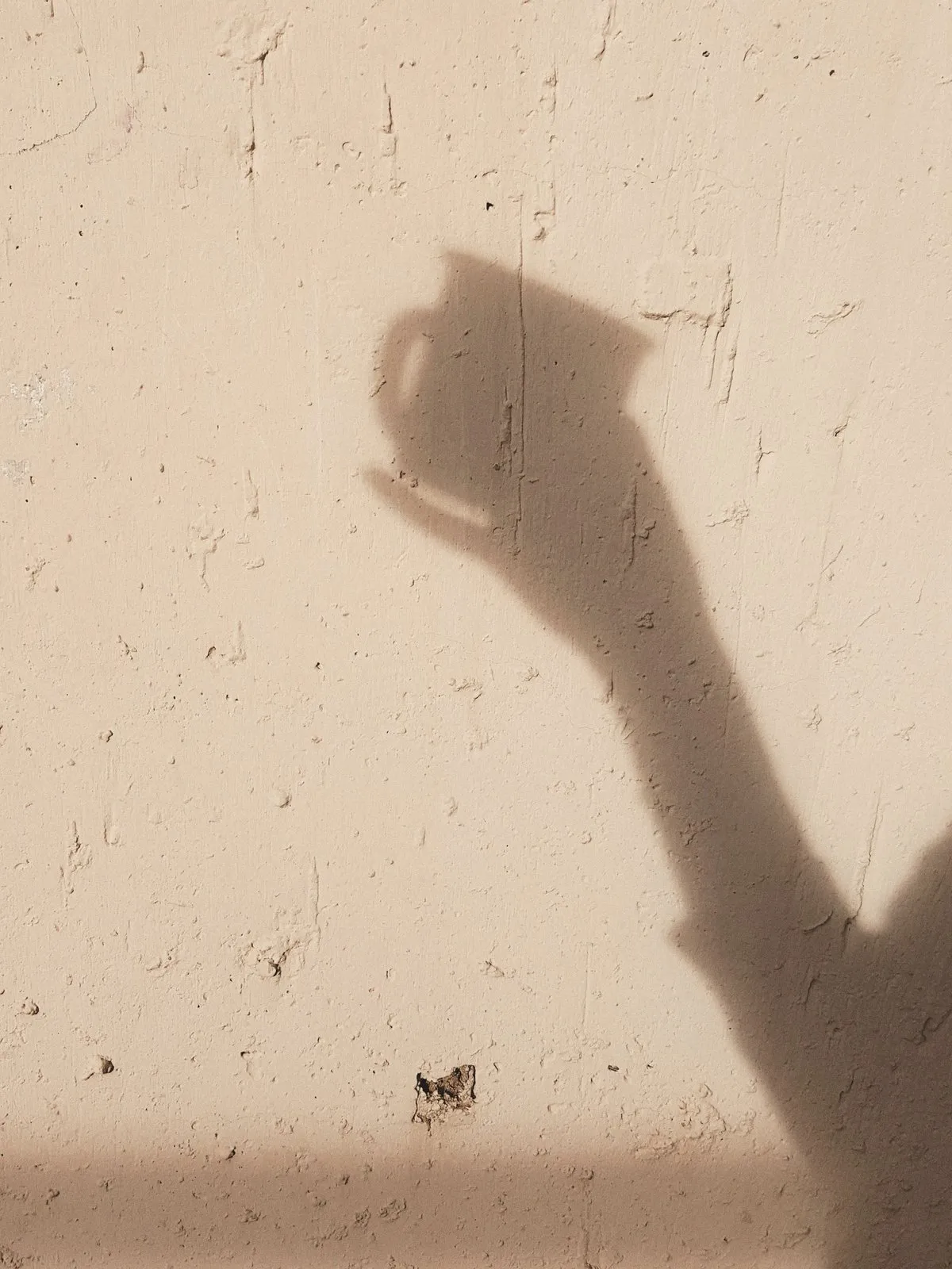 The shadow of a hand lifting a cup on a warm cream wall.